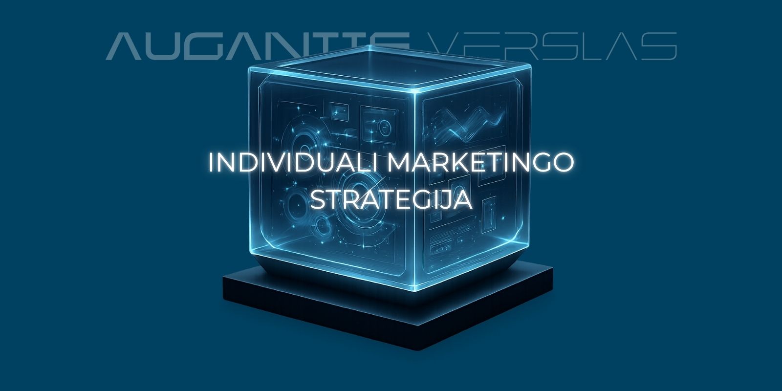 AugantisVerslas marketingo sistema ir strategija 1 INDIVIDUALI MARKETINGO STRATEGIJA 2